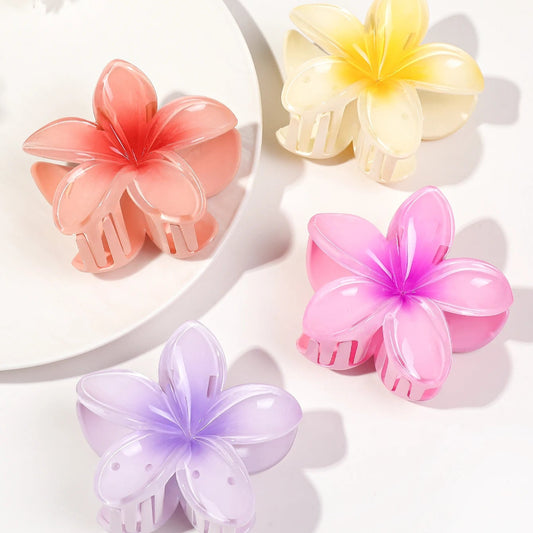 Set hair clips